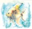 Nome del file=16-_-Acquario.jpg
Dimensione del file=106KiB
Dimensioni=1200x1067
Aggiunta il=21 Set 2011 16-_-Acquario.jpg