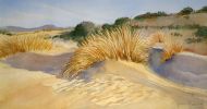 dune~0.jpg